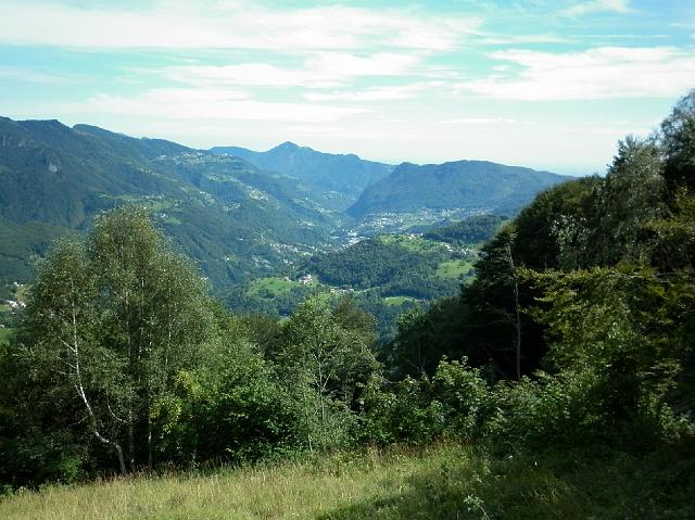 faggi 034.JPG